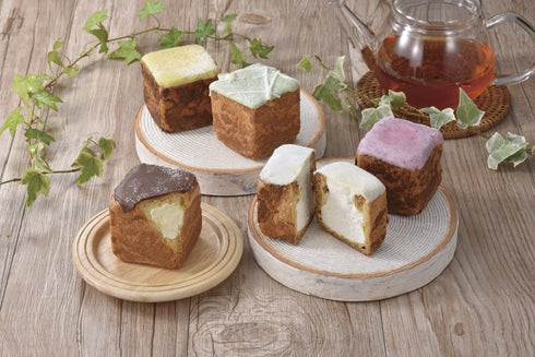 キューブシュー詰め合わせ