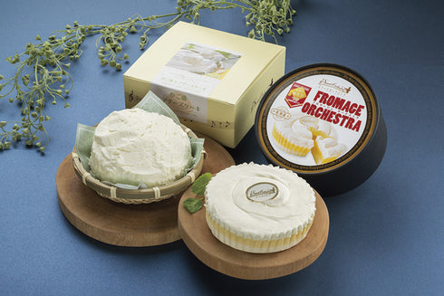 厳選チーズケーキセットN24