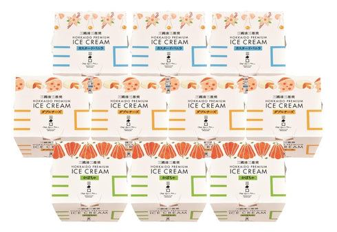三國推奨 北海道プレミアムアイス3種セット(10個)