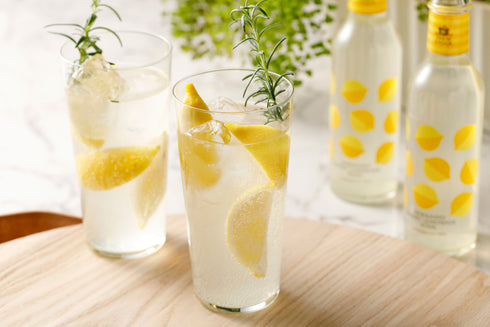 北海道ハニーレモネード&ジンジャーエールギフト