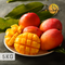 【予約注文】台湾愛文マンゴー|台灣愛文芒果|IRWIN MANGO|5㎏( 約8~14玉 )|2.5㎏( 約4~7玉 )|2025
