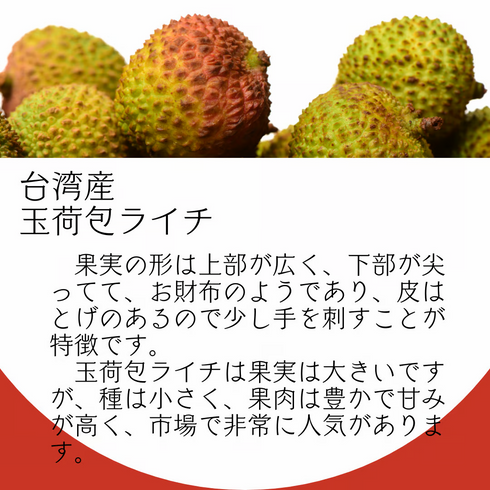 【予約注文】台湾玉荷包ライチ|台灣玉荷包荔枝|LYCHEE|3㎏|2.5㎏(小分けケース)|2026